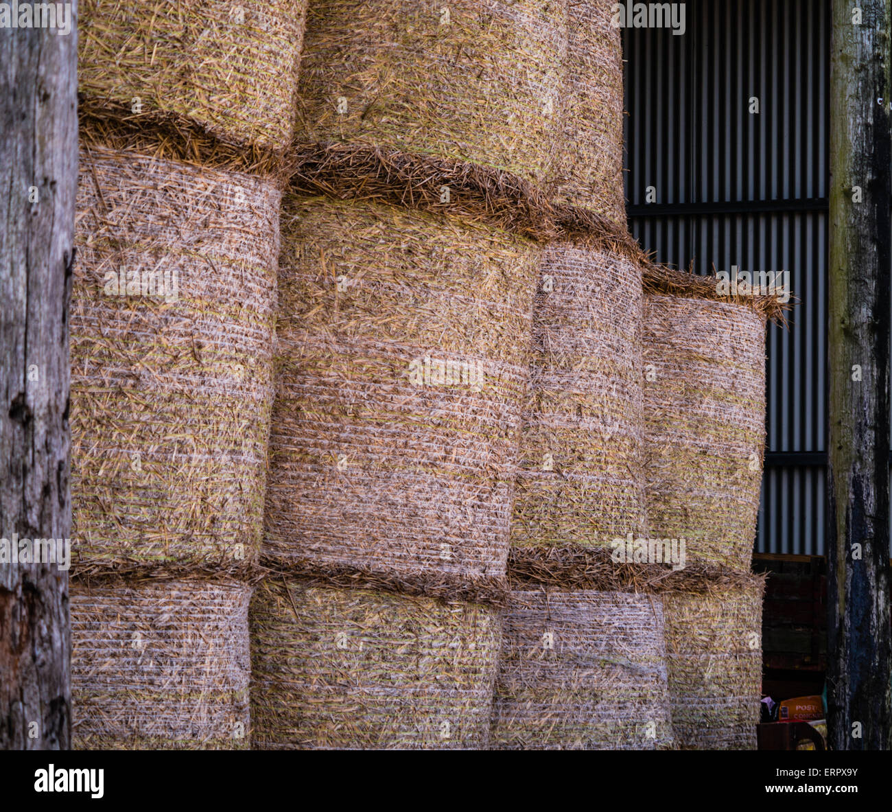 Round hay bales in a barn. Bleach Farm, riding school, Stamford Bridge, North Yorkshire, England, Britain, UK Stock Photo