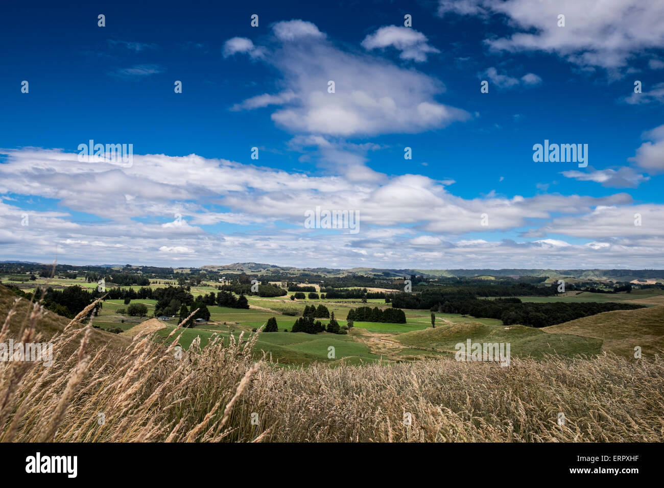 Views over rural farmland in Ohakune, Manawatu-Wanganui region of New Zealand Stock Photo