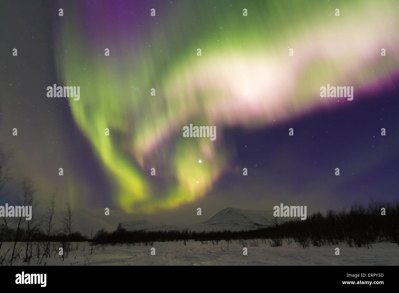 Northernlight, aurora borealis,  over Nikkaluokta and the mountains in Swedish Lapland Stock Photo