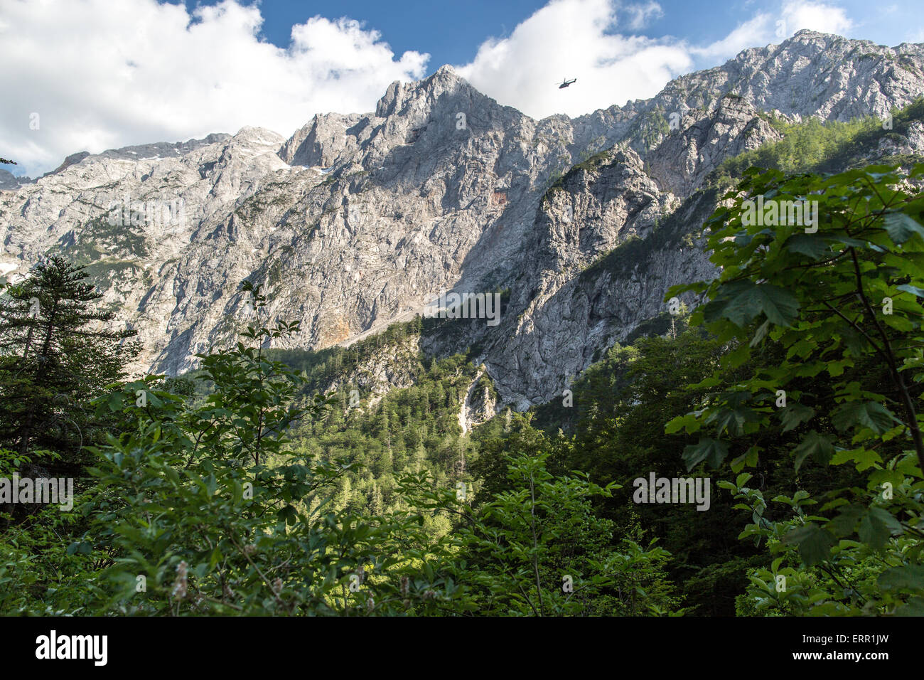 mountains in Logarska dolina Stock Photo