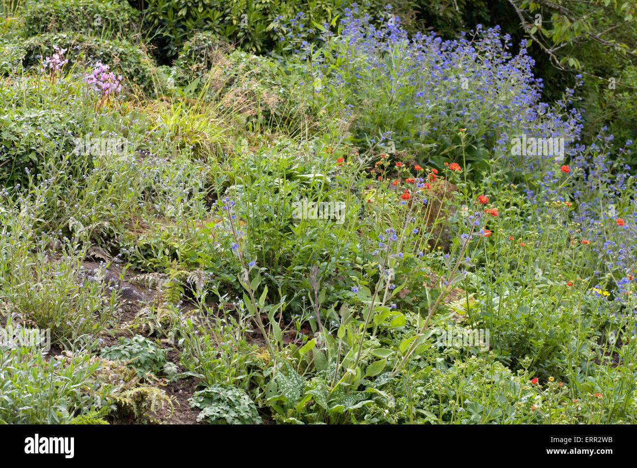 English green garden borders hi-res stock photography and images - Alamy