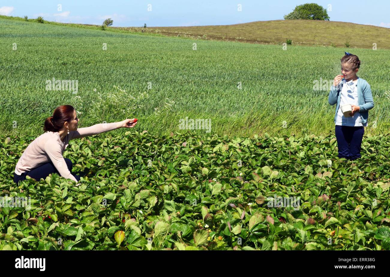 Samsoe Island, Denmark. 6th June, 2015. Danish Crown Princess Mary and