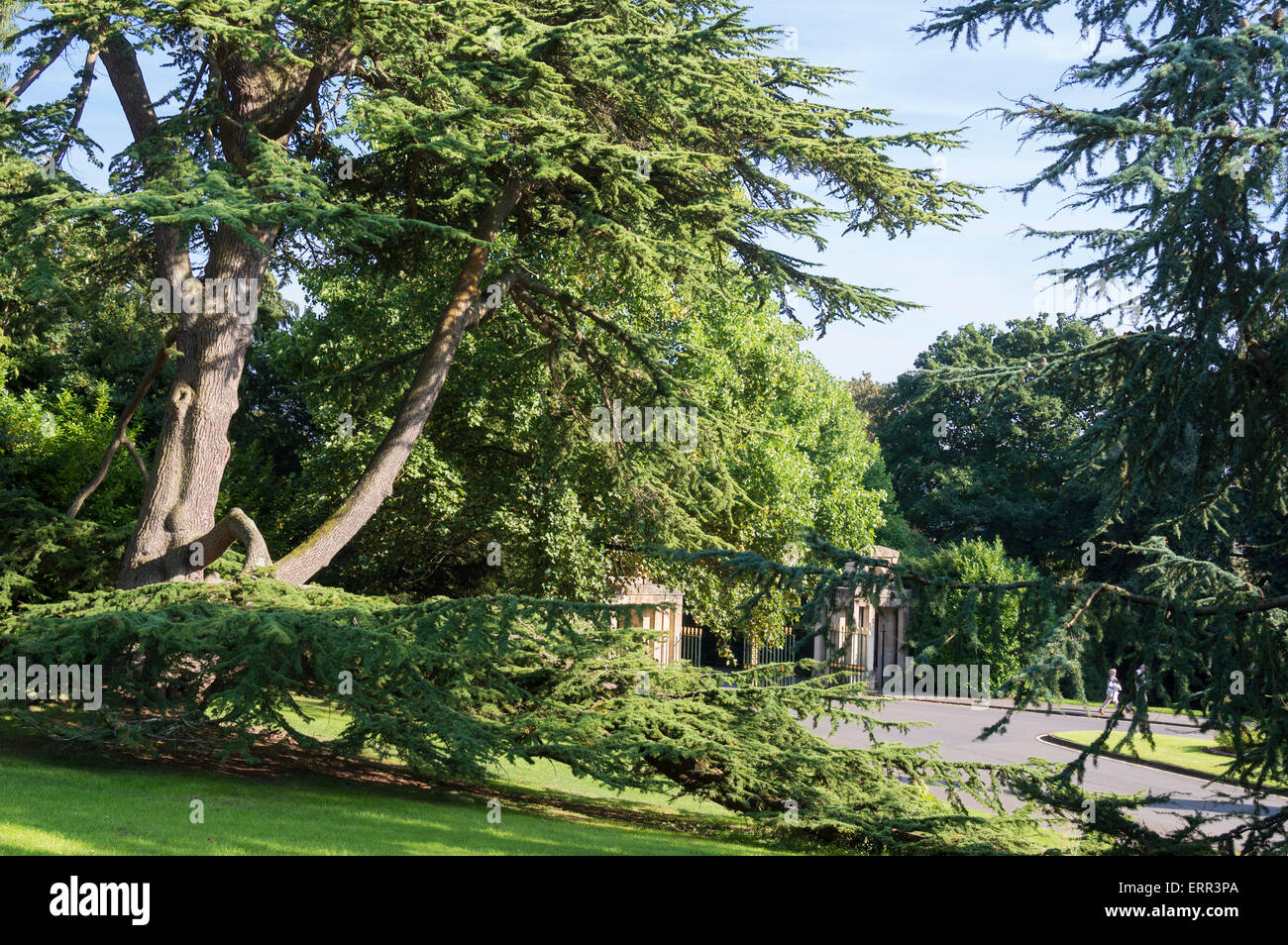 Botanic Gardens, Royal Avenue, Bath city, Somerset, UK; England Stock