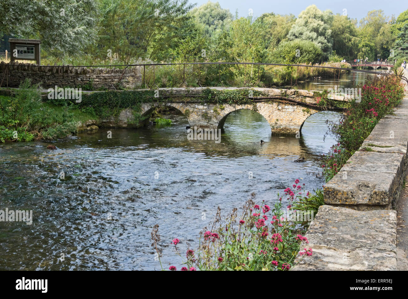 River Coln, Bibury, Cotswolds,  Gloucestershire,  England UK Stock Photo