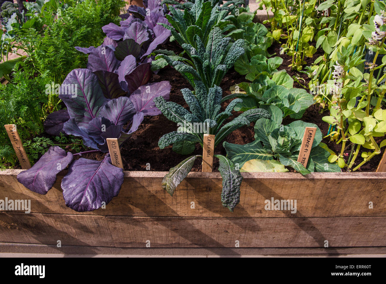 vegetable patch @Chelsea Flower Show 2015 Stock Photo