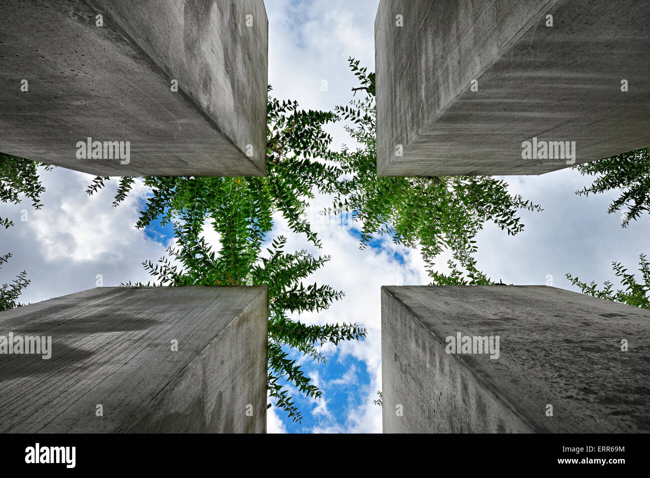 Germany, Berlin, Kreuzberg district, the Jewish museum, the Garden of Exile by Daniel Libeskind. Stock Photo