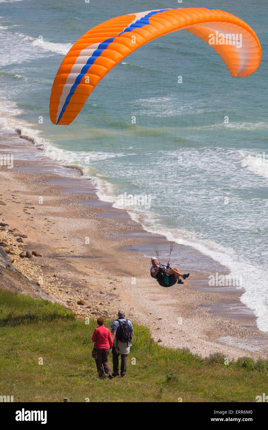 Butterfy flying uk hires stock photography and images Alamy