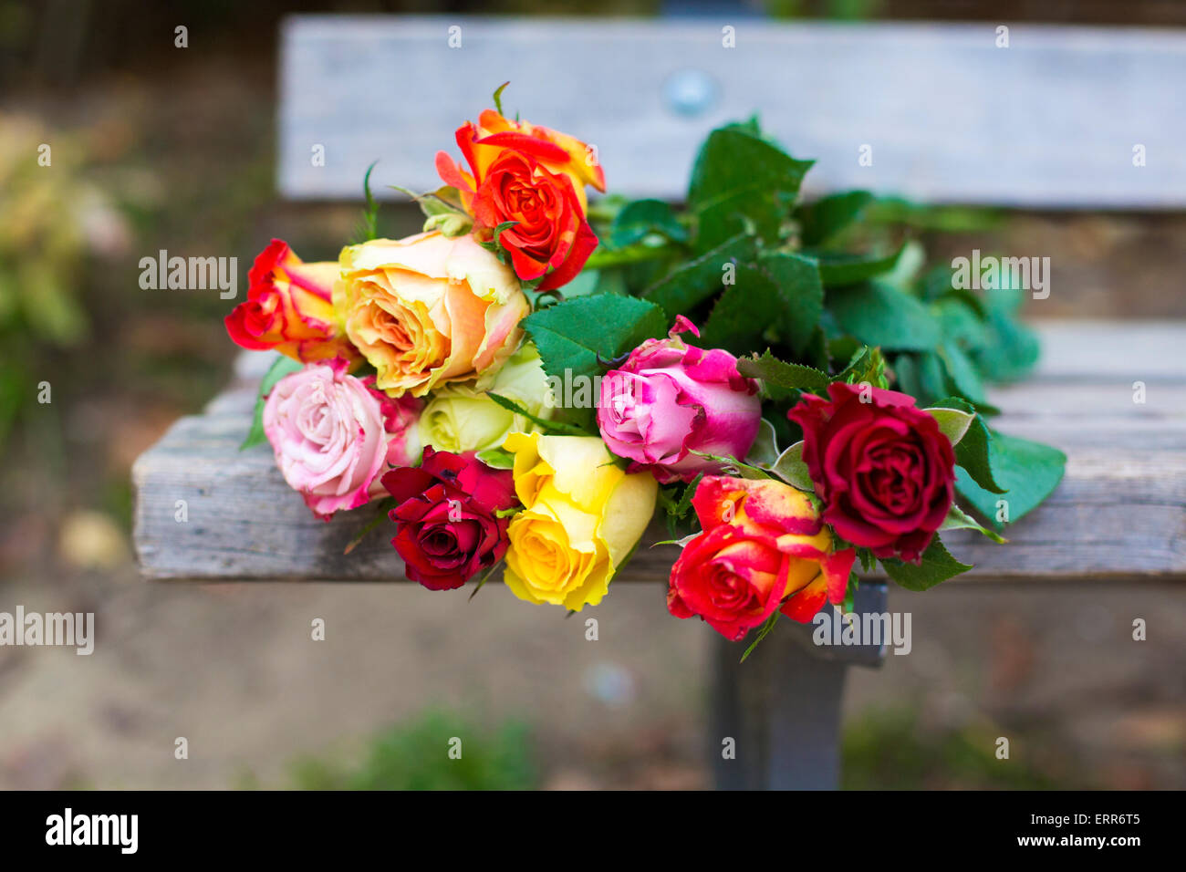 a bunch of roses lying on a bench in a park Stock Photo