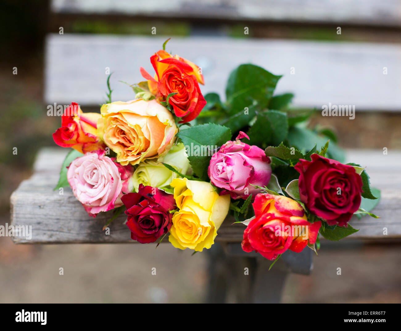 a bunch of roses lying on a bench in a park Stock Photo