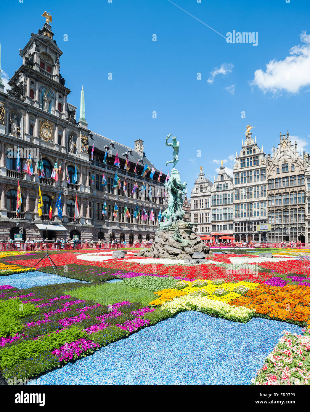 Belgium, Antwerp, flower carpet in front of the city hall on the Grote Markt Stock Photo Alamy