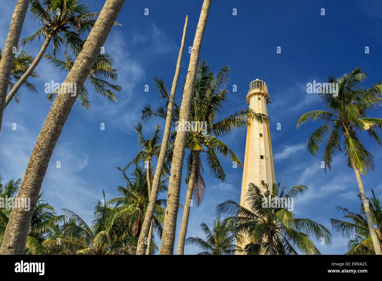 Lighthouse around coconut trees Stock Photo