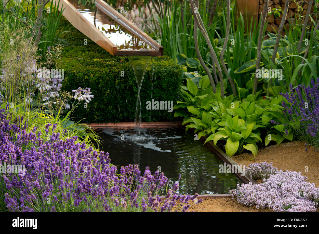 Water flowing over a wooden rill surrounded by plants in The Vestra Wealth Garden at The Hampton Court Flower Show Stock Photo