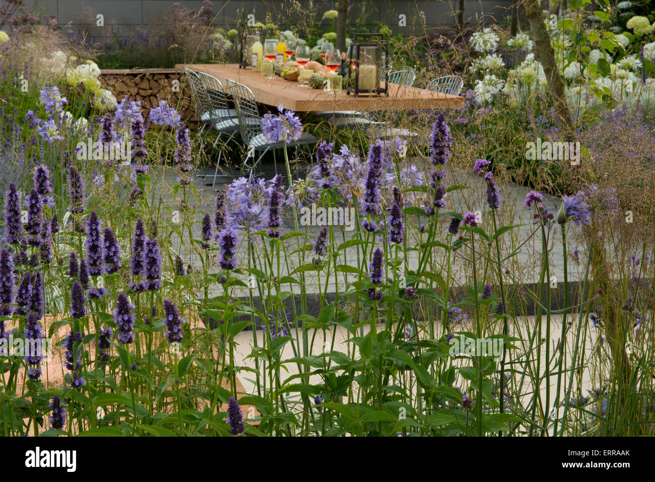 Lavandula and agapanthus next to a dining area in The Vestra Wealth Vista Garden,  Hampton Court Flower Show Stock Photo