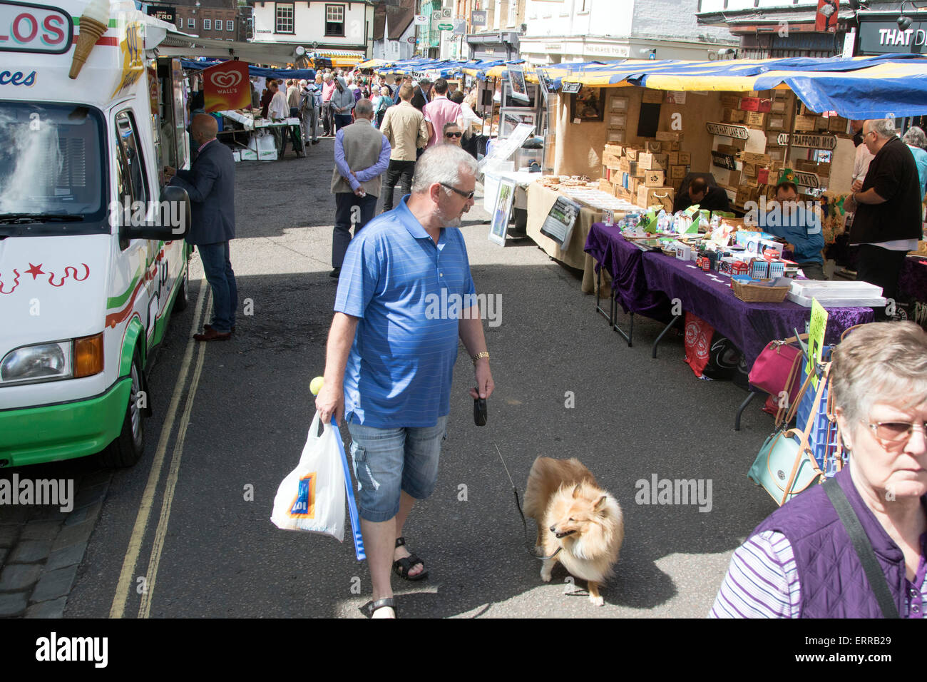 Market St Albans High Street Saturday dog stalls Stock Photo - Alamy