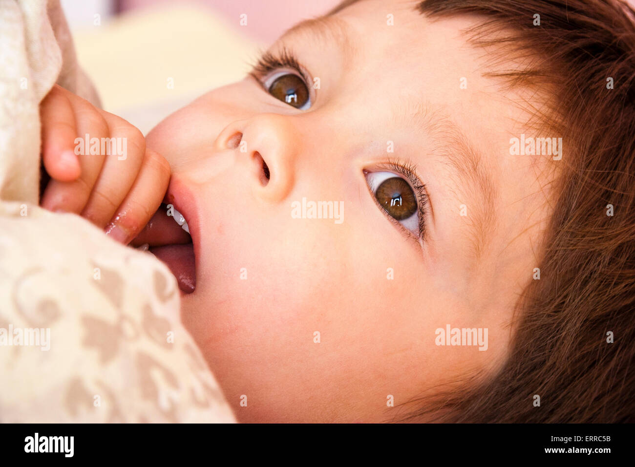 Close up of angelic small child, boy, 3-4 year old, head shot. Laying under duvet and biting thumb as he thinks hard about something. Stock Photo