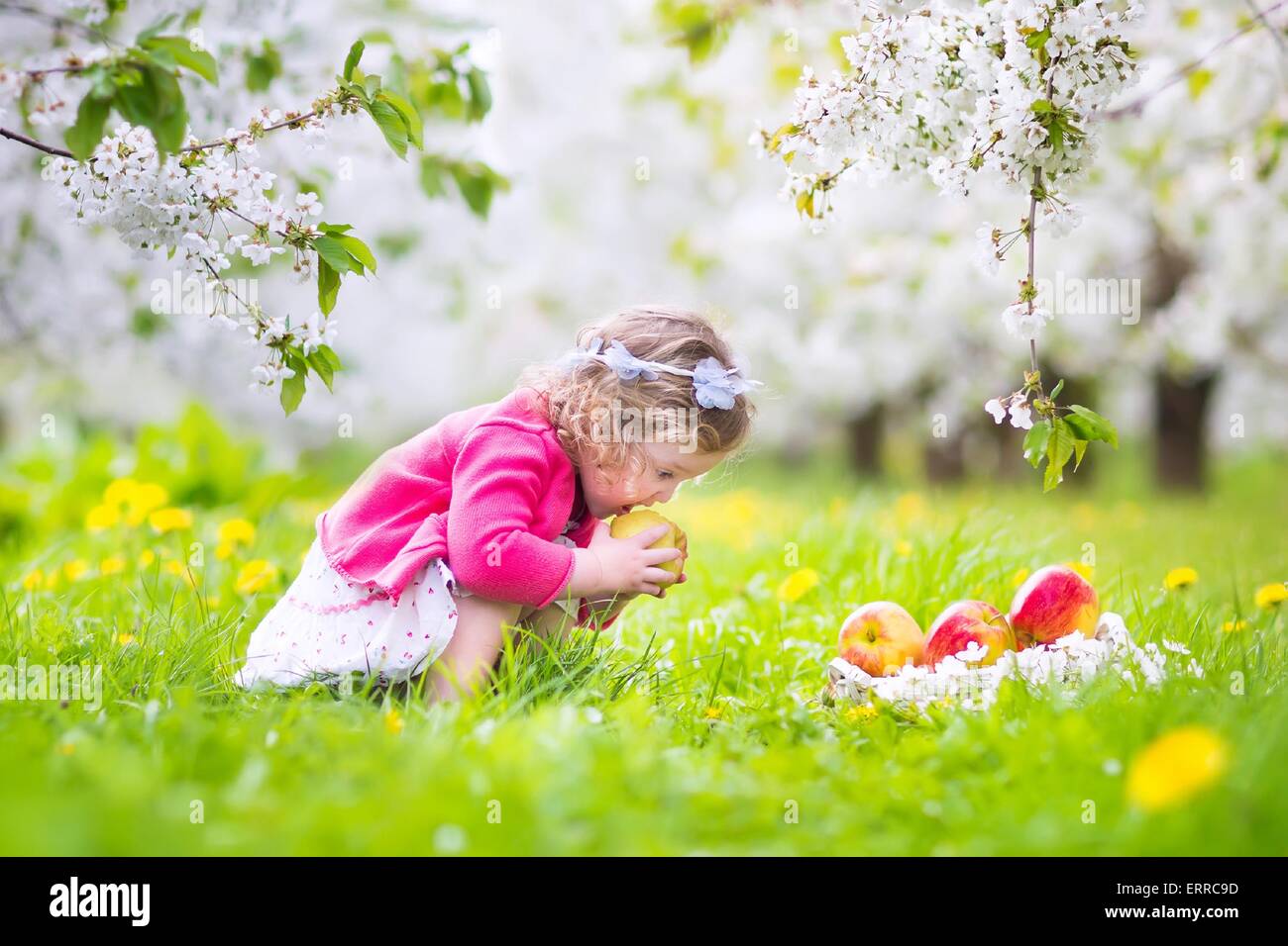 Adorable happy toddler girl with curly hair and flower crown wearing a red dress enjoying picnic in a blooming fruit garden Stock Photo