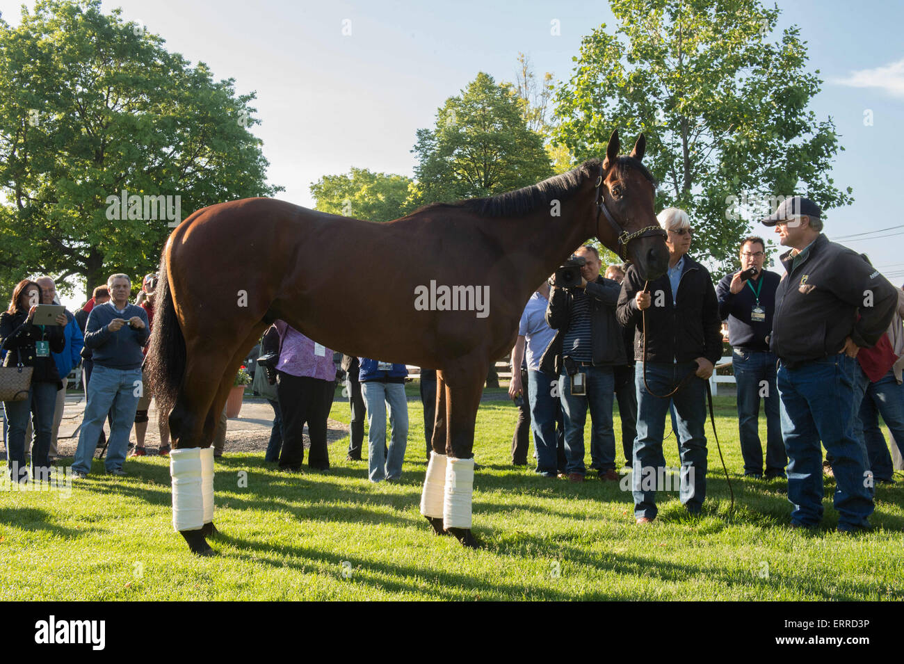 Billy mott hi-res stock photography and images - Alamy