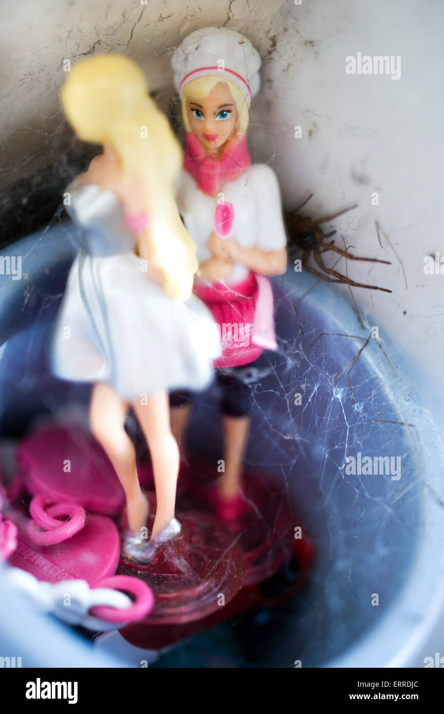 Barbies and spider Stock Photo - Alamy