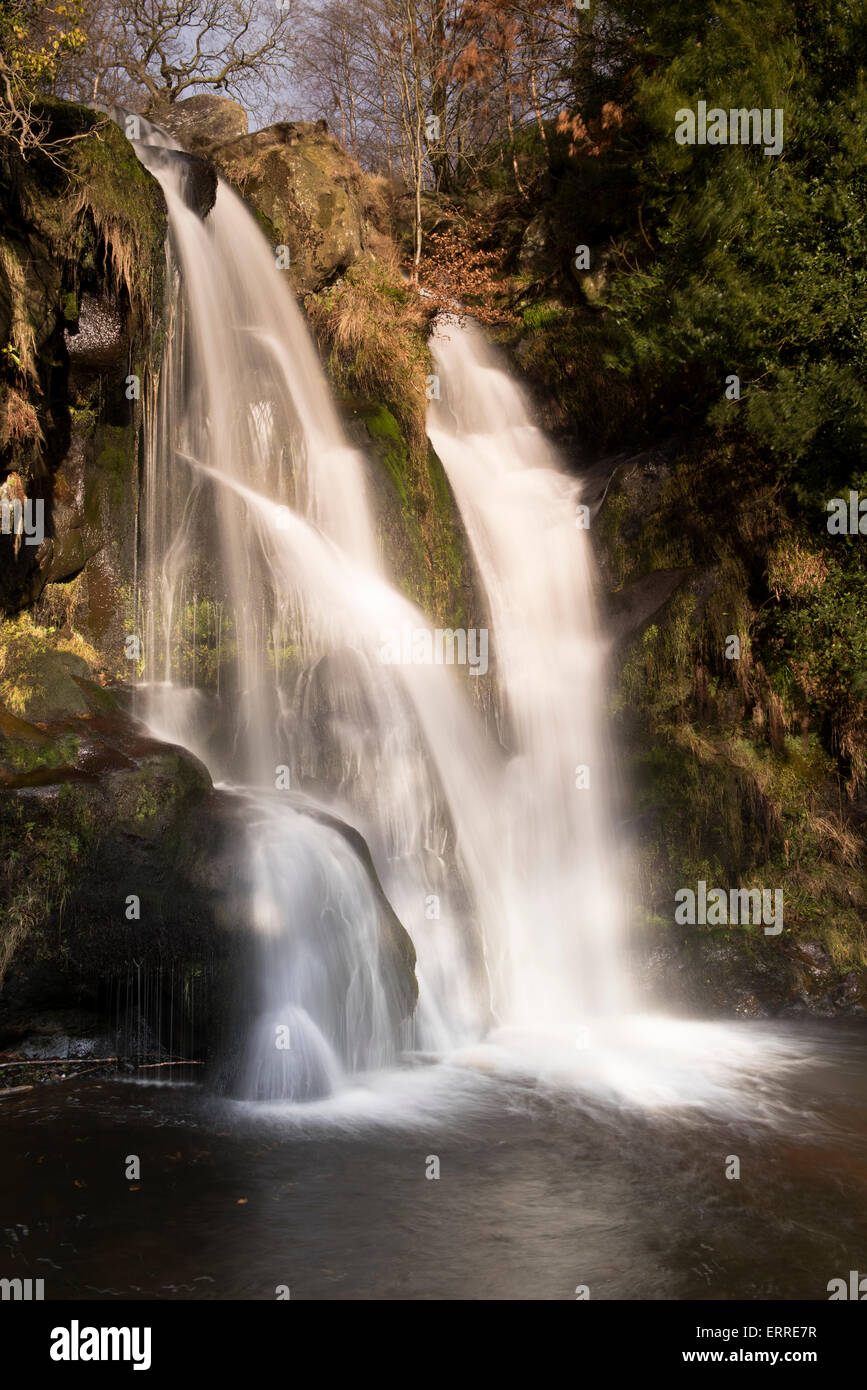 Posforth Gill Waterfall in idyllic peaceful countryside (stream water flowing over rocky cliff into pond) - Bolton Abbey, Yorkshire Dales, England, UK Stock Photo