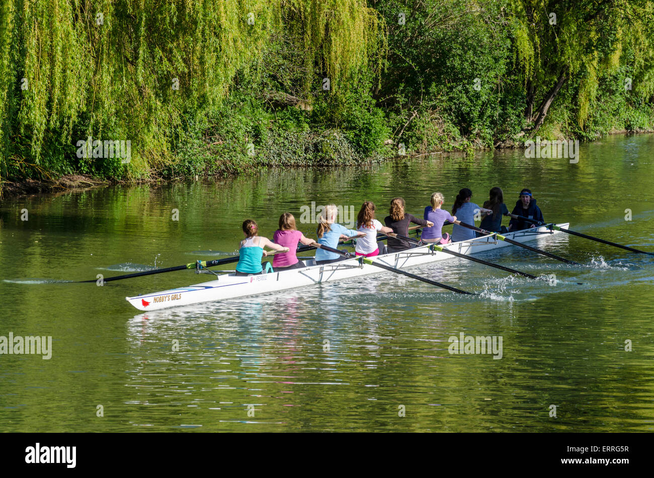 Women rowing uk hires stock photography and images Alamy