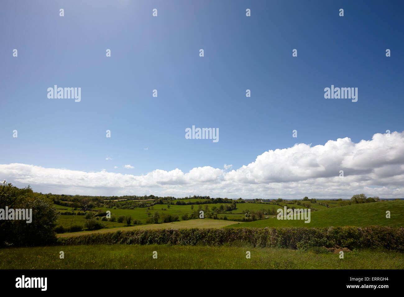 rural green fields under a blue sky in rural ireland tydavnet county monaghan republic of ireland Stock Photo