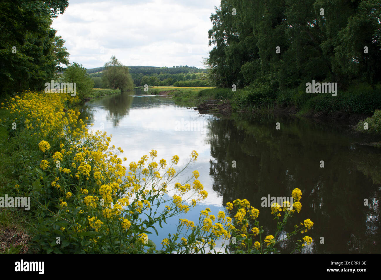 River Trent at the confluence of River Trent and River Sow at Great ...