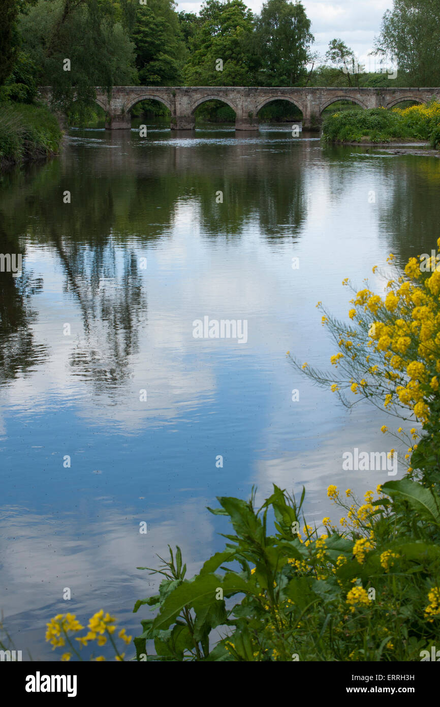 River Trent at the confluence of River Trent and River Sow at Great ...