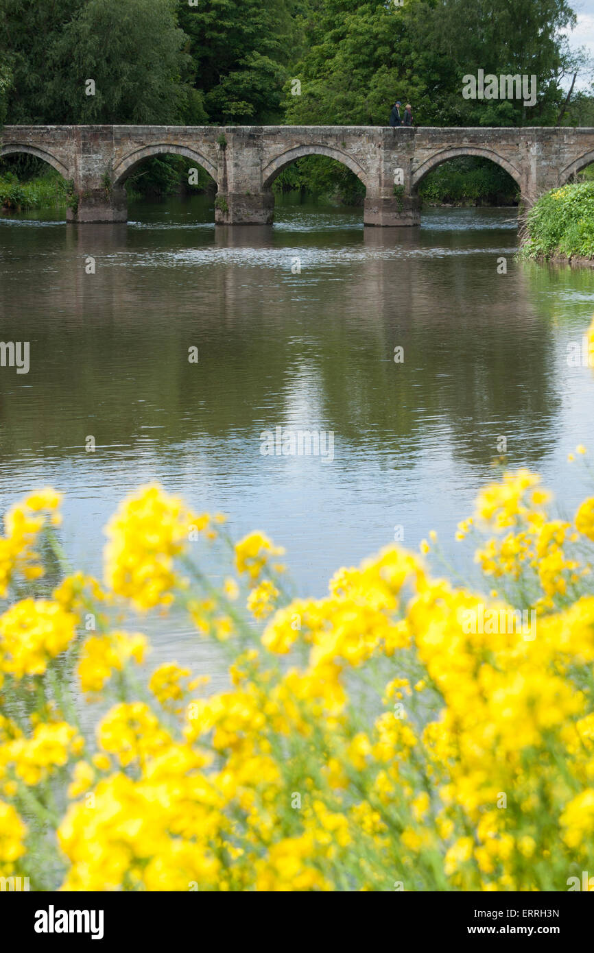 River Trent at the confluence of River Trent and River Sow at Great ...