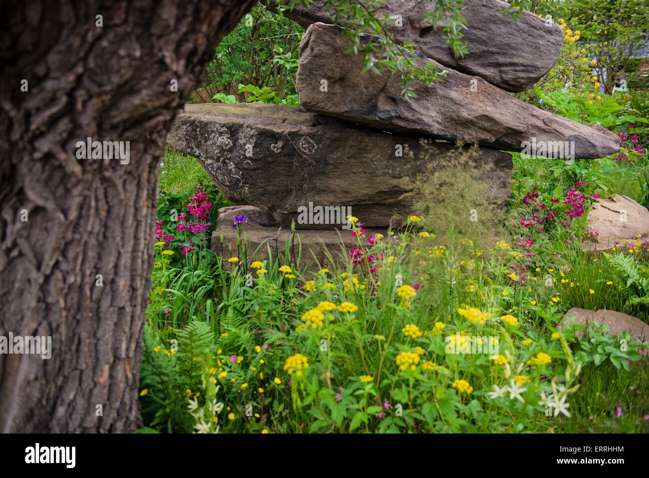The Laurent-Perrier Chatsworth Garden, gold winner of the Best In Show garden, Chelsea Flower Show 2015 Stock Photo