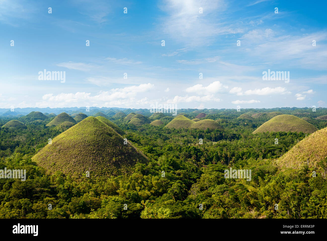 Chocolate Hills in Bohol Island, Philippines. Stock Photo