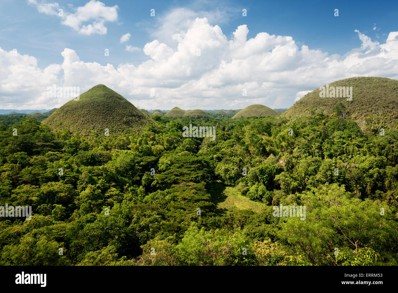 Chocolate Hills in Bohol Island, Philippines. Stock Photo