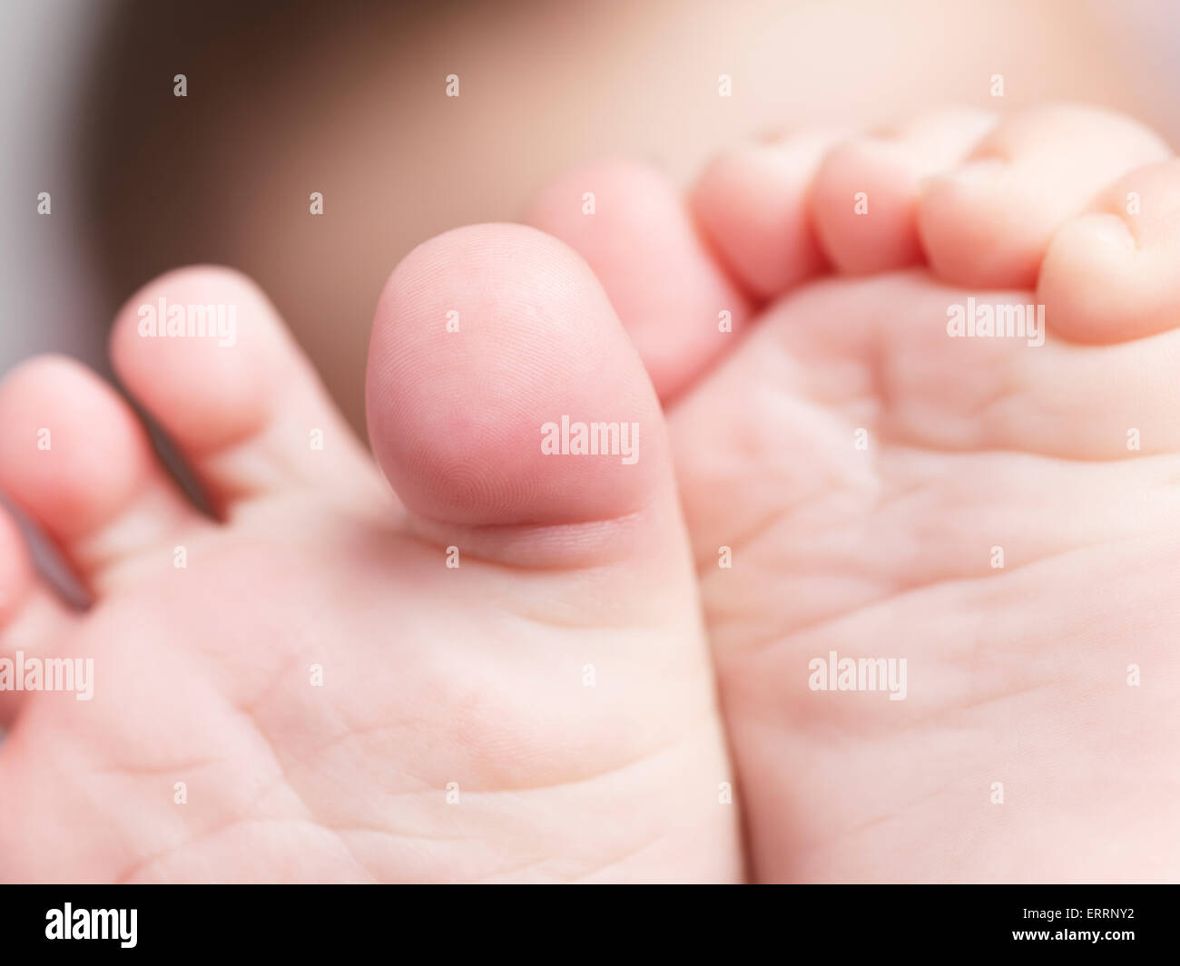 Closeup of baby feet and toes Stock Photo