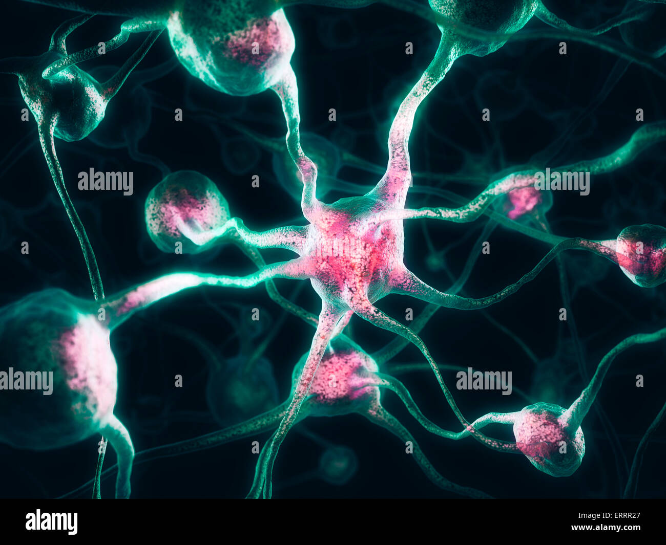 Neurons, Nervous system, Brain cells 3D illustration Stock Photo