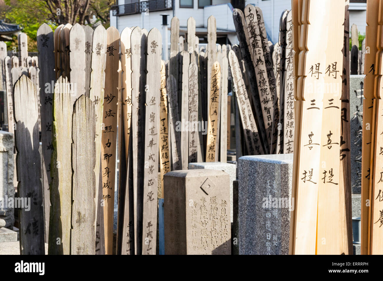 Japan, Tokyo. Graveyard, cemetery. Wooden grave marker sticks Stock