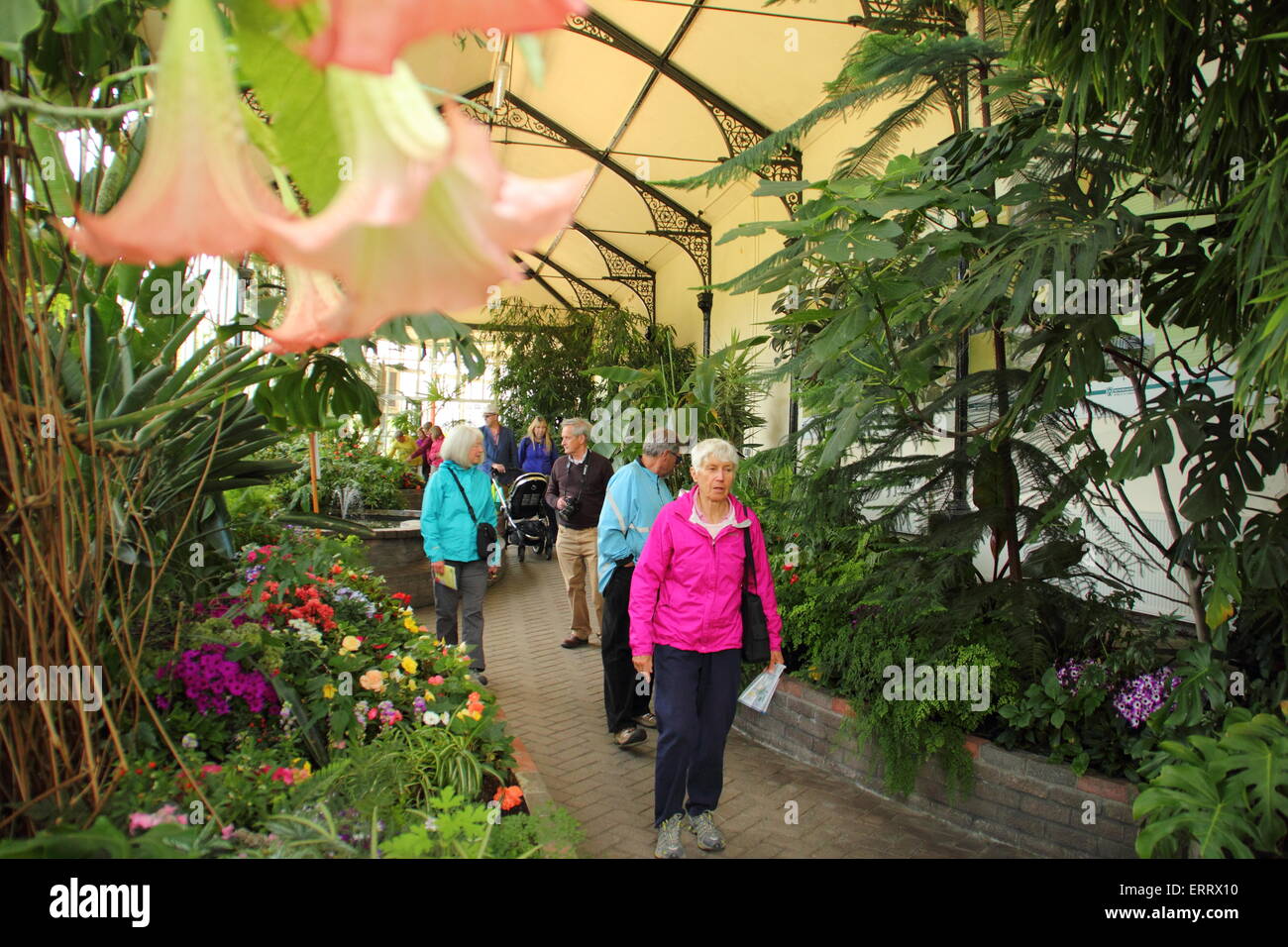 Visitors survey the floral displays in the Pavilions Gardens hothouse at Buxton in Derbyshire, England UK  - summer Stock Photo