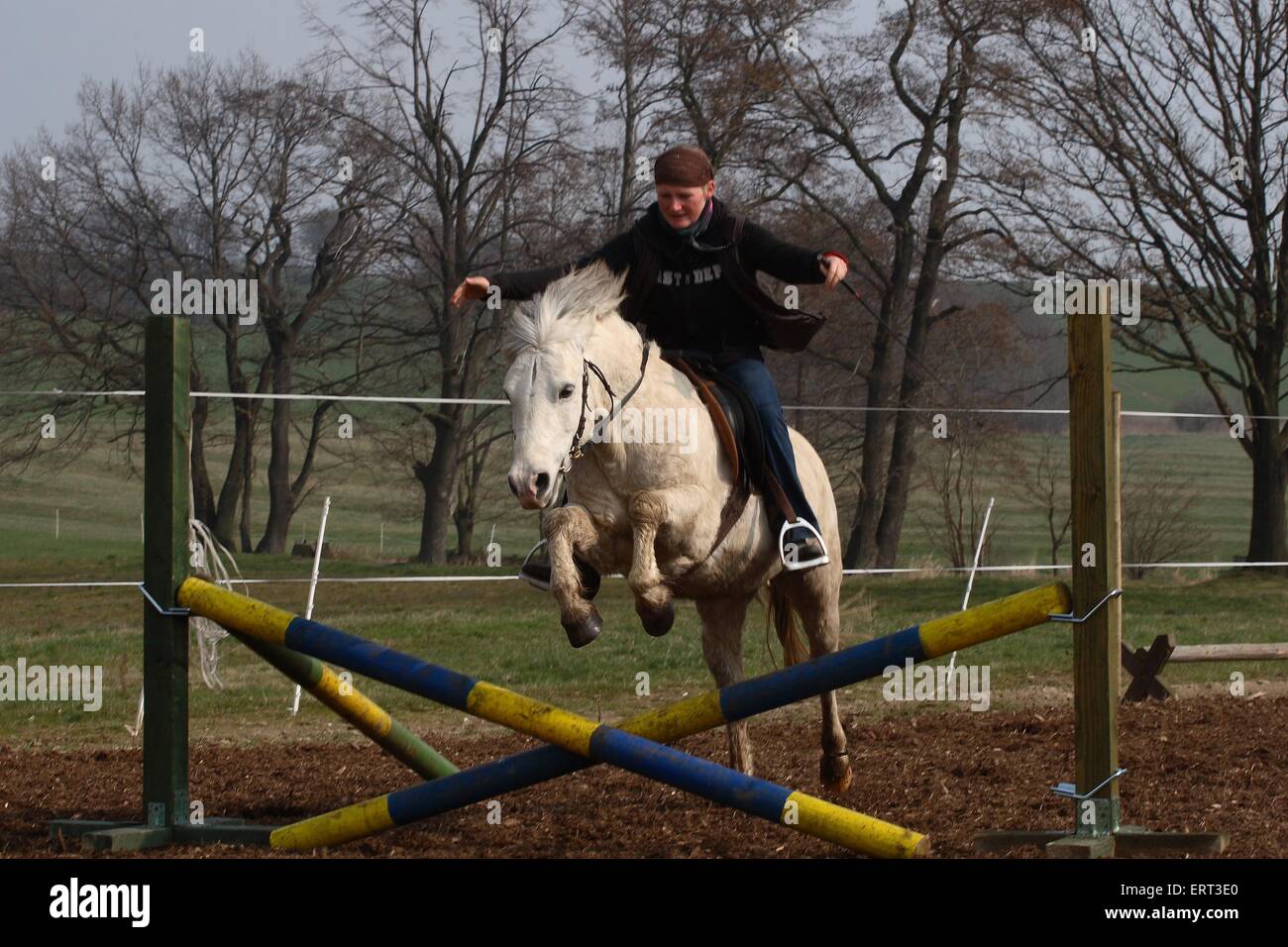 Electric pony ride 2025