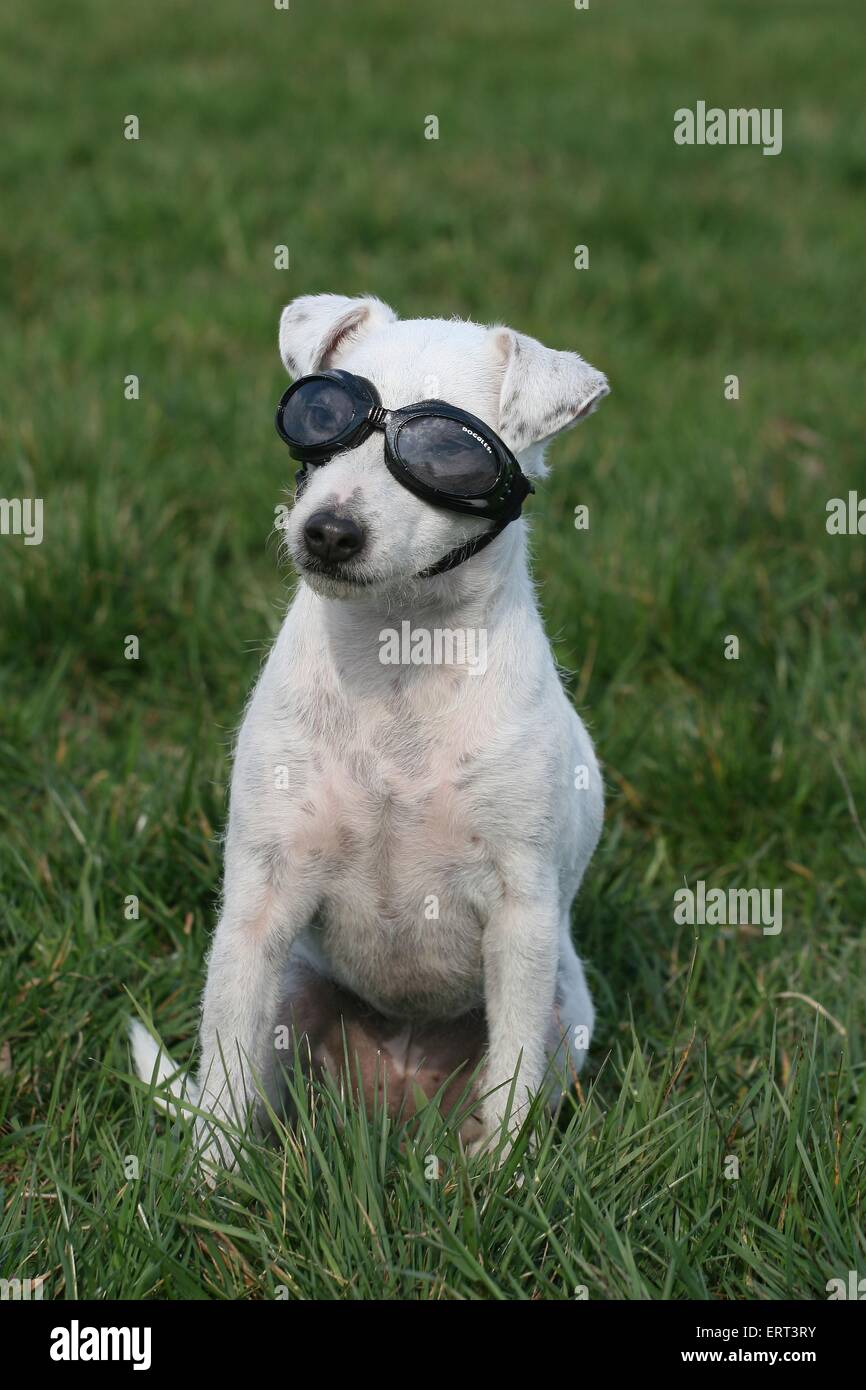 Swim goggles hires stock photography and images Alamy