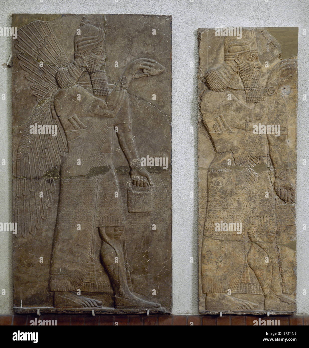 Chaldean Assyrian relief sculpture slab from the northwest palace of King Ashurnasirpal II of a Genie standing. 881-859 BC. from Nimrud. Istanbul Archaeological Museum. Turkey. Stock Photo