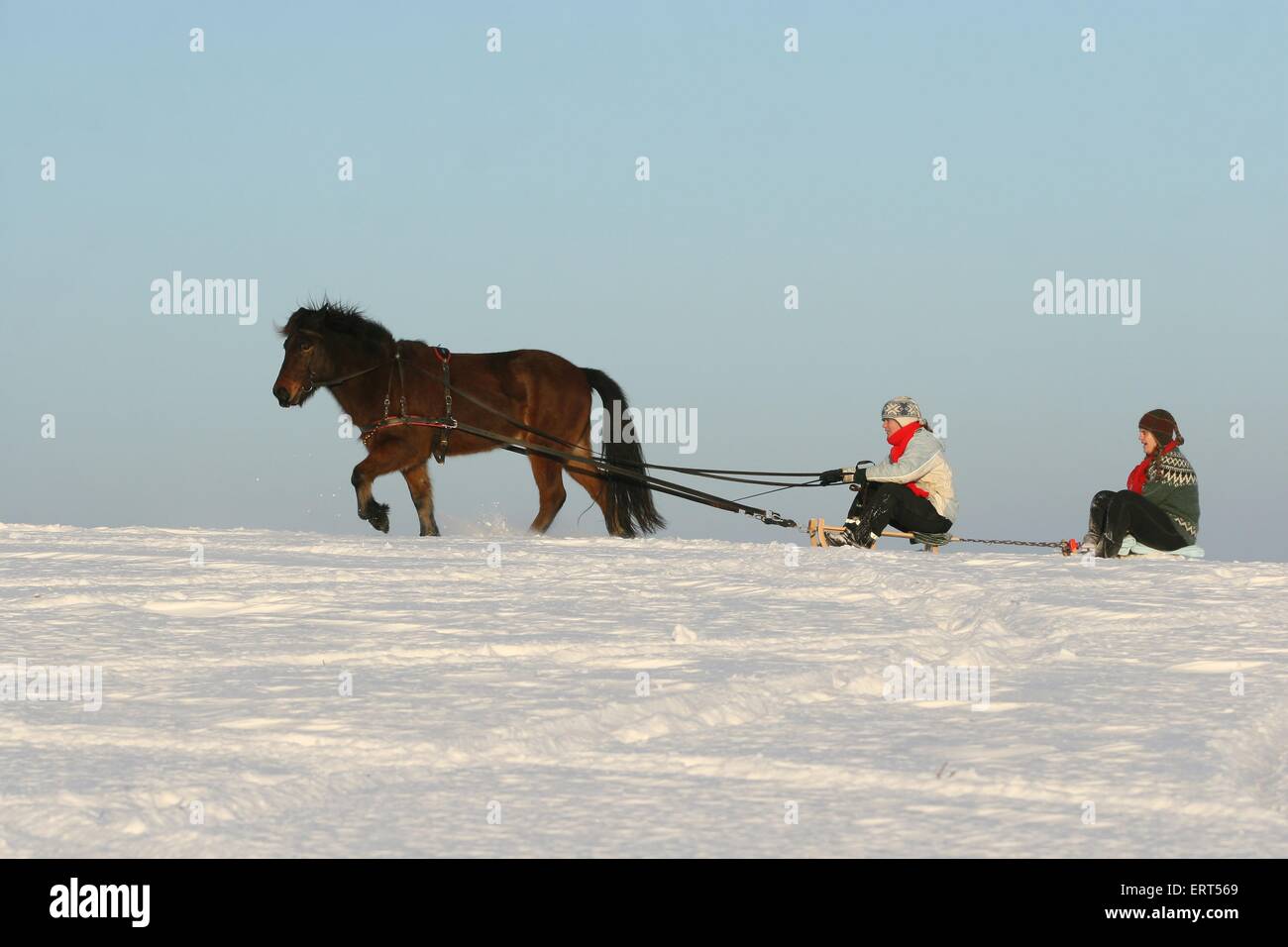 Small covered carriage hi-res stock photography and images - Alamy