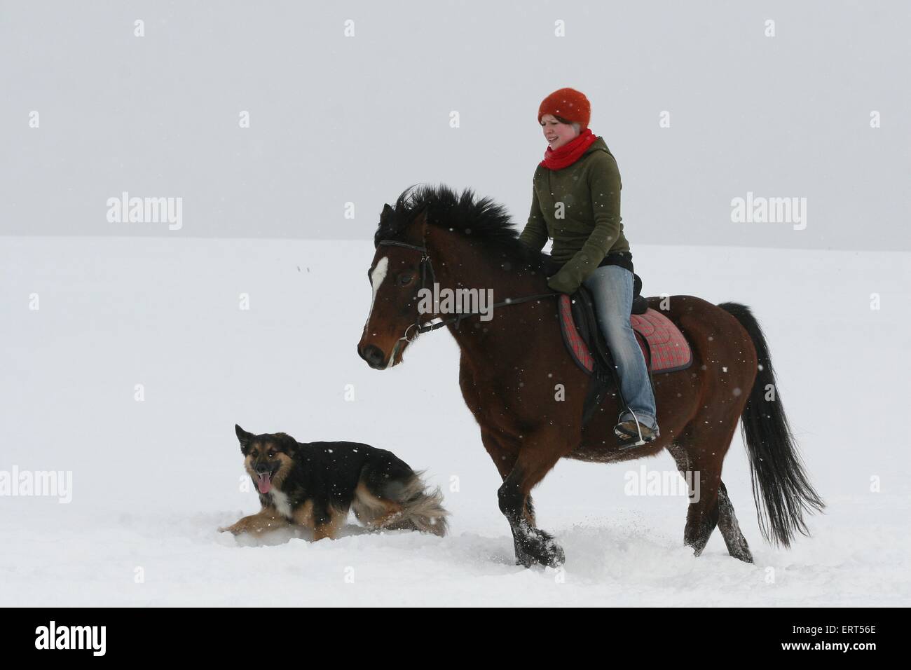 riding in snow Stock Photo - Alamy