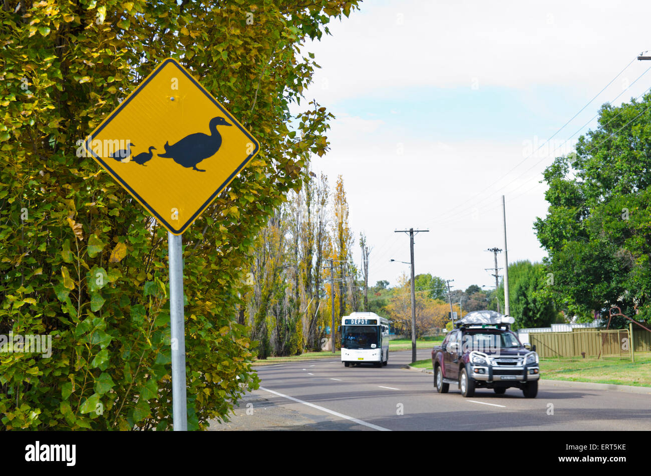 Ducks Crossing road sign adjacent to the Peel River Tamworth Australia Stock Photo