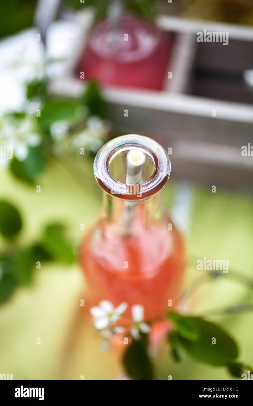 Homemade juice made from fresh rhubarb Stock Photo