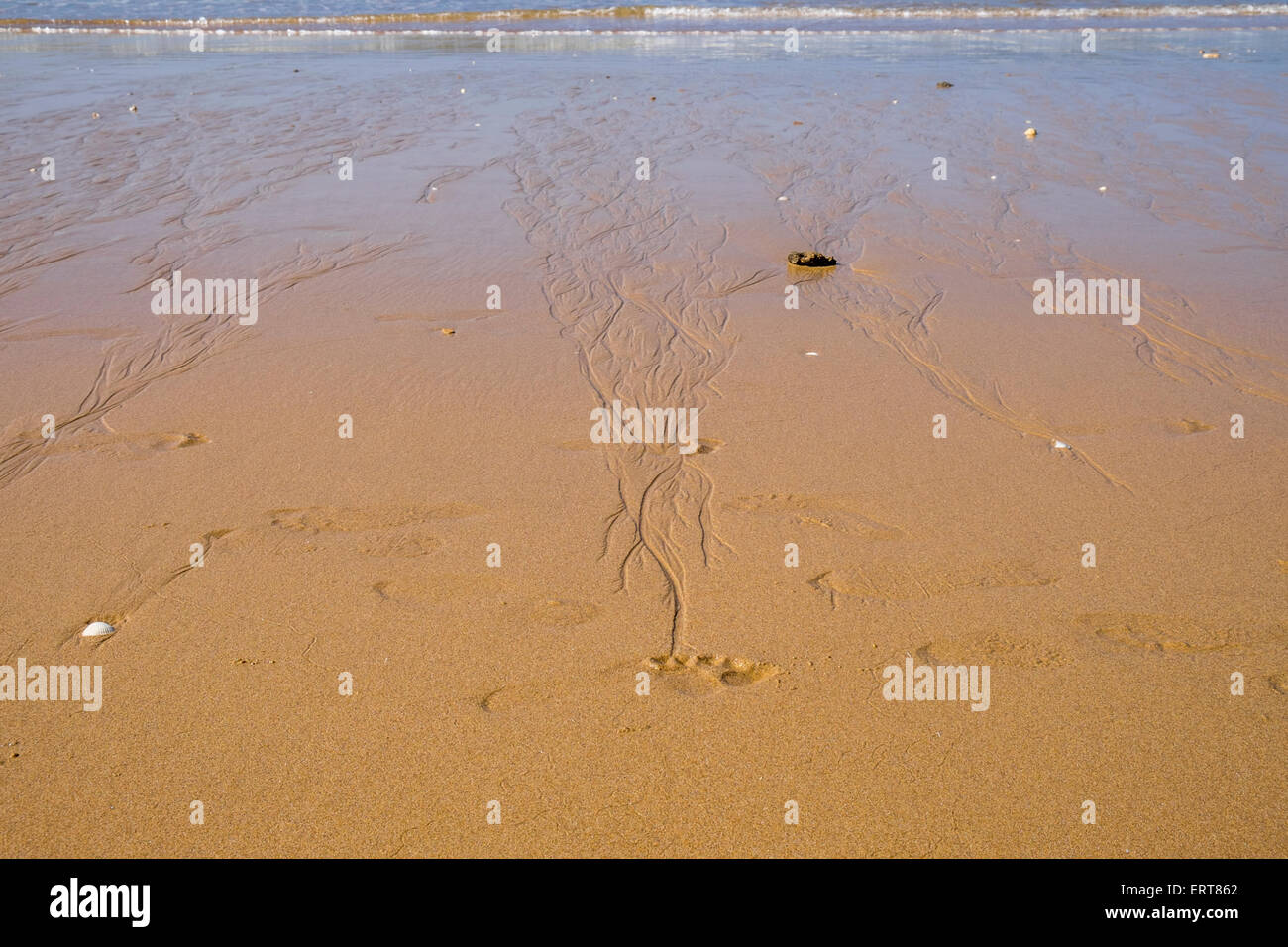Seamless marine wave patterns hi-res stock photography and images - Alamy