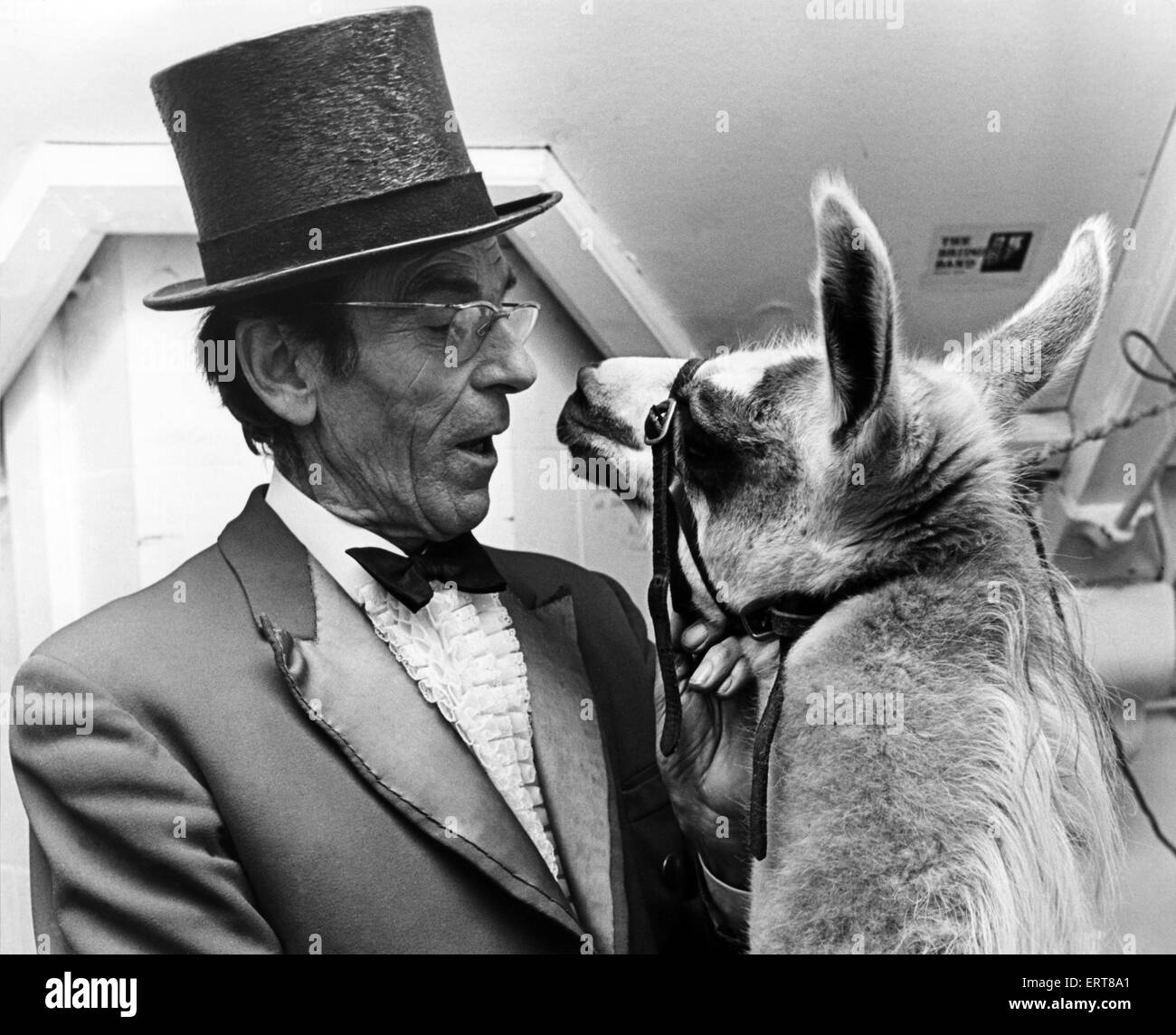 Circus ringmaster John Moore with friendly Llama, Augusto Family Circus, 21st December 1977. Stock Photo