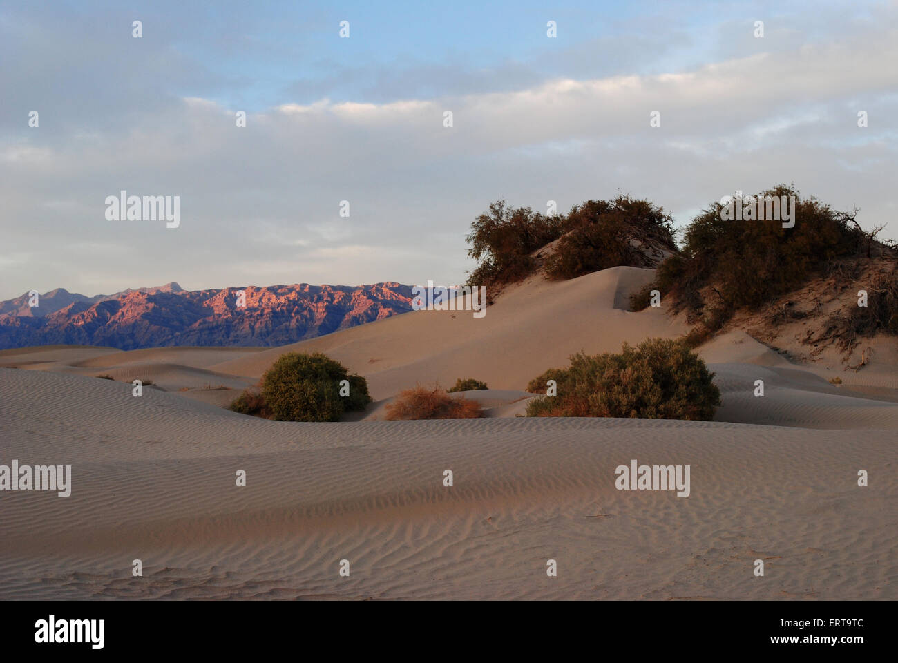 Sand dunes in the Death Valley Stock Photo - Alamy