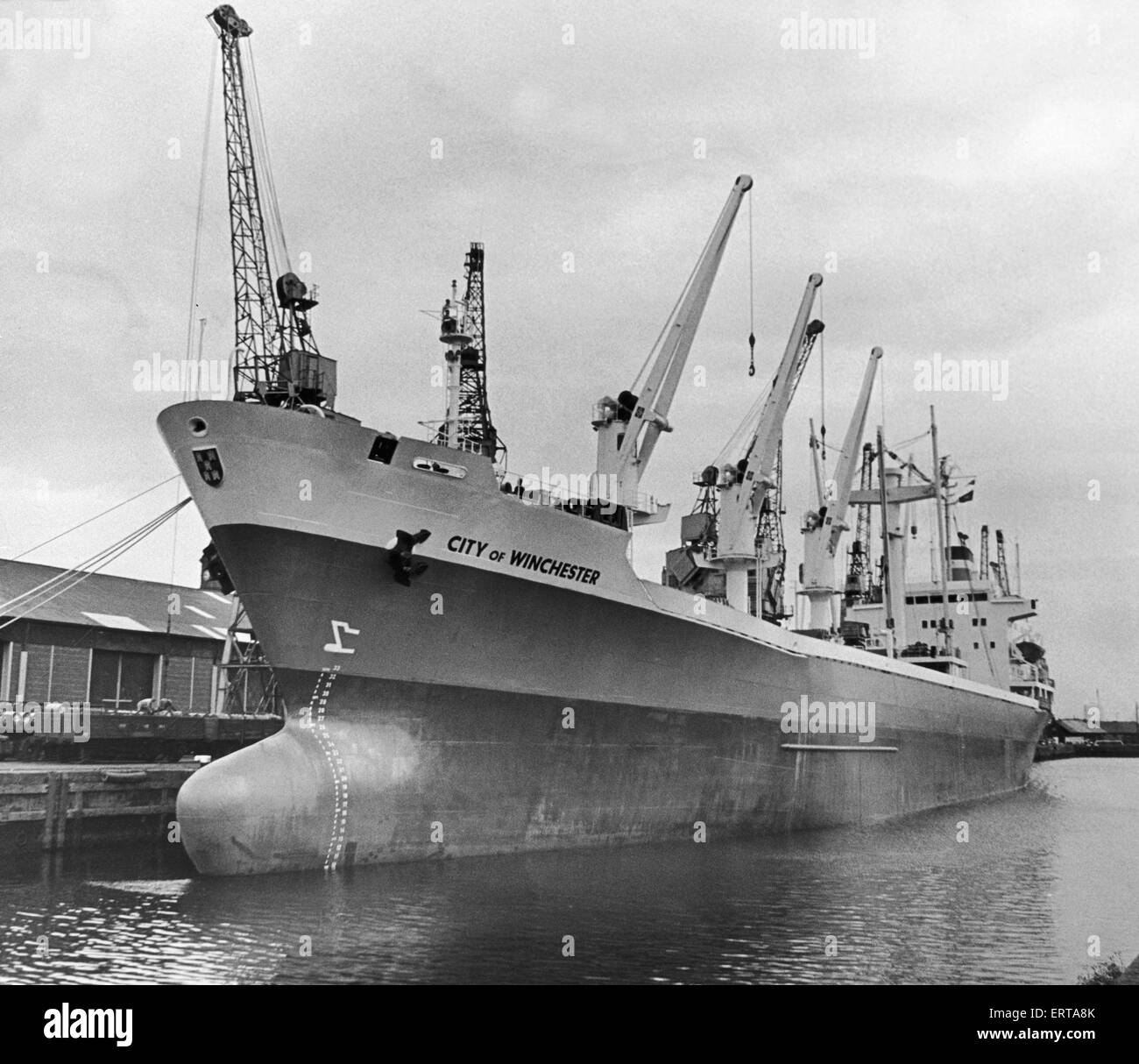 The new Ellerman Line cargo ship The City of Winchester seen here being