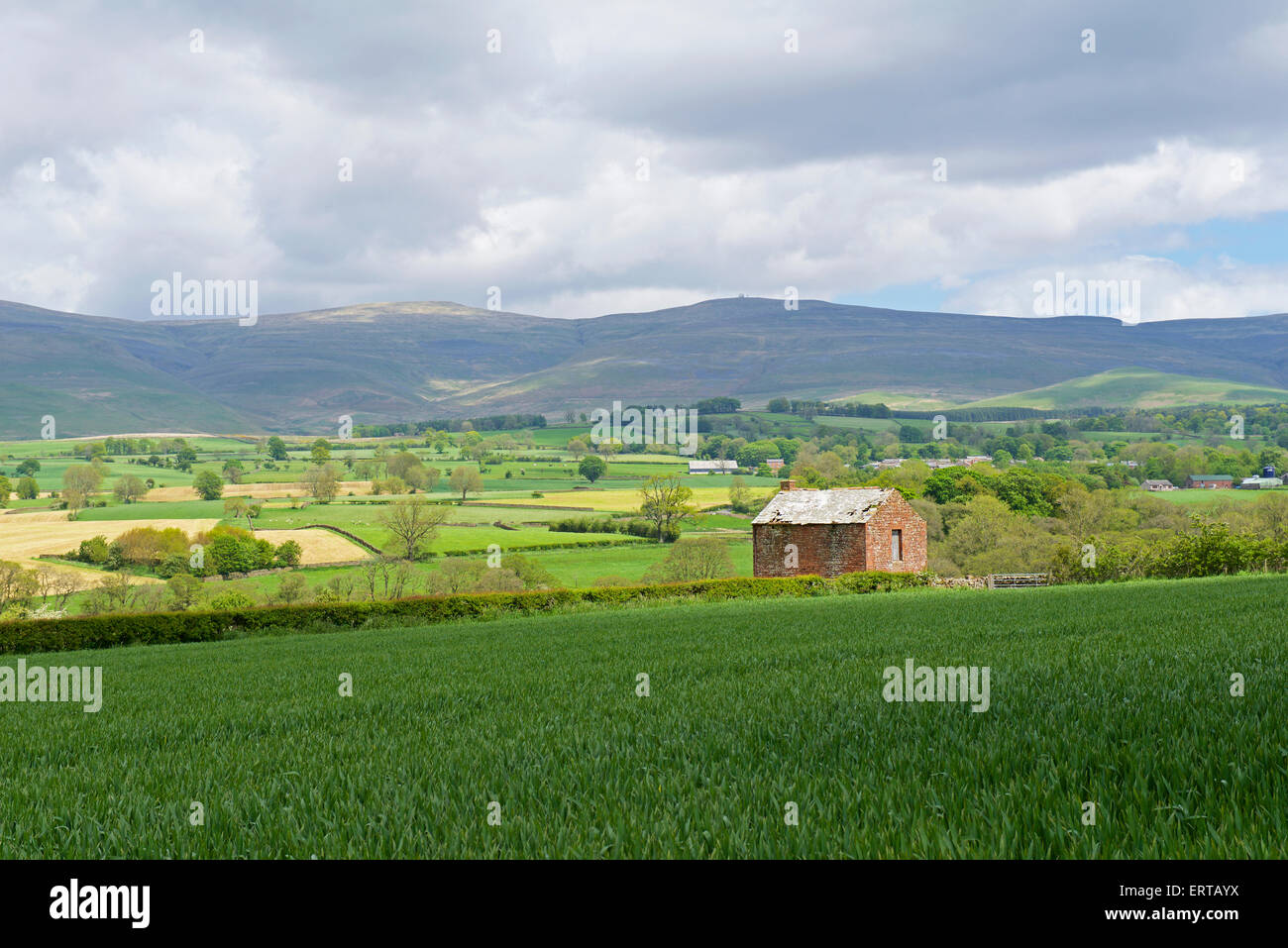 Field barn and farmland, backed up by Cross Fell, Eden Valley, Cumbria