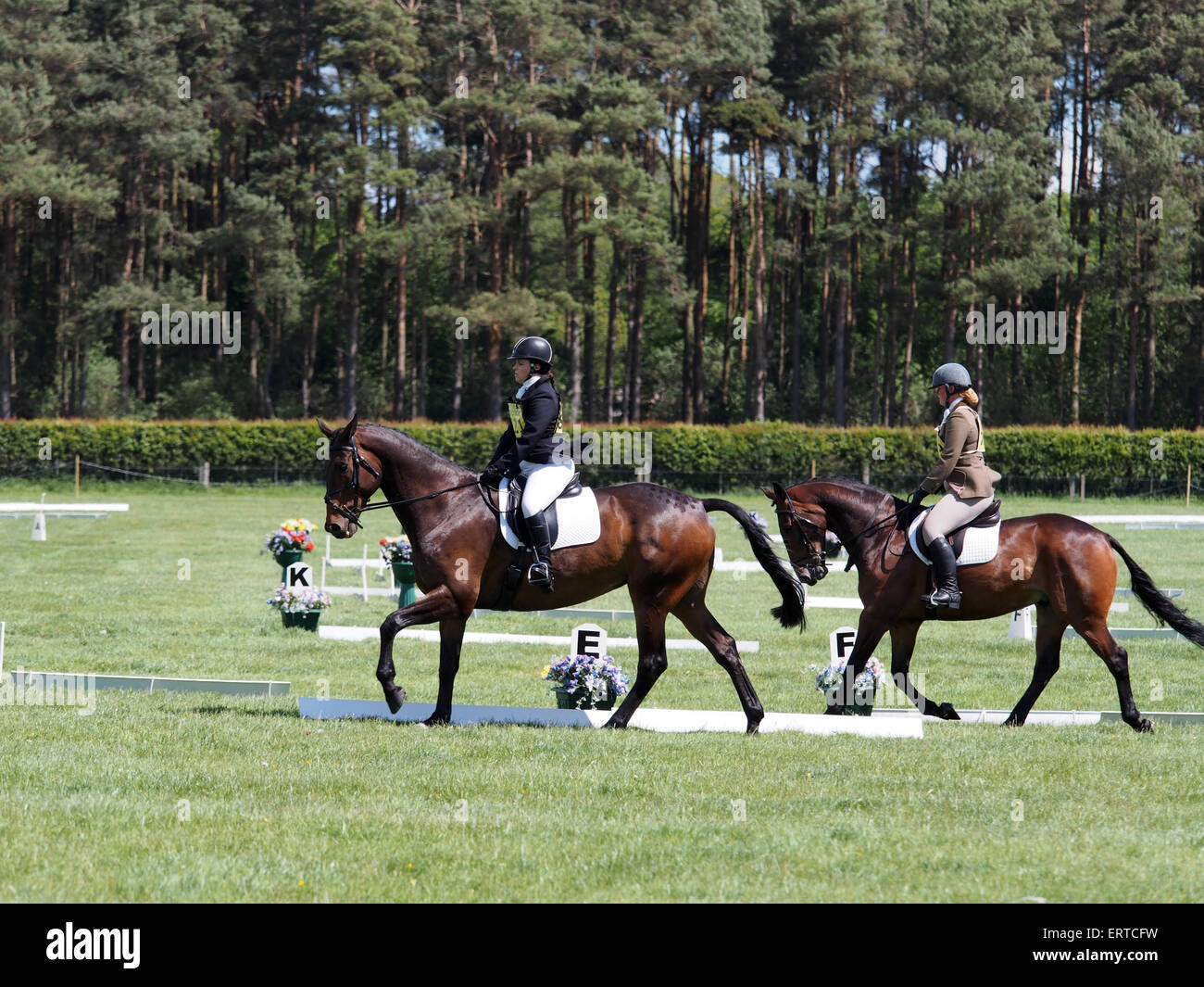 Belsay, UK. 6th June, 2015. Competitors in the dressage section during day two of the 2015 Belsay Horse Trials, held in the grounds of Belsay Castle in Northumberland, England. Belsay Castle is managed by English Heritage and is open to the public all year. Credit:  AC Images/Alamy Live News Stock Photo