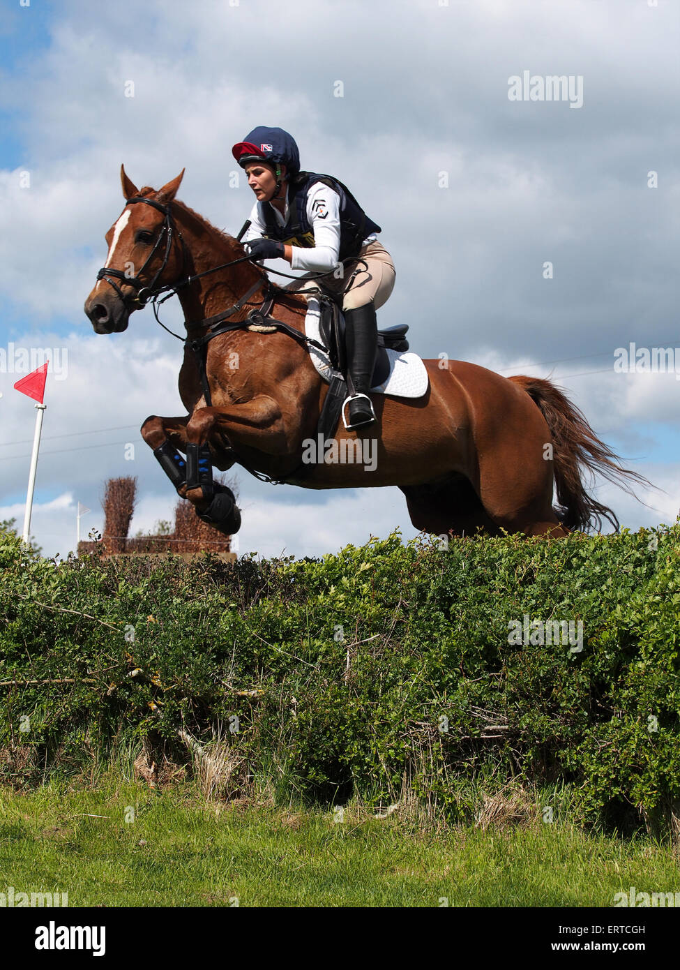 Belsay, UK. 6th June, 2015. A competitor in the cross country section clears a jump during day two of the 2015 Belsay Horse Trials, held in the grounds of Belsay Castle in Northumberland, England. Belsay Castle is managed by English Heritage and is open to the public all year. Credit:  AC Images/Alamy Live News Stock Photo