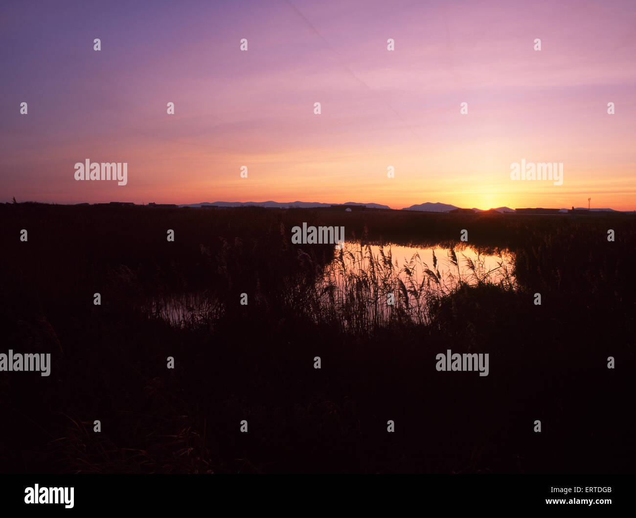 Sunrise over site of Llyn Cerrig Bach (E) sacred lake, RAF Valley, Anglesey, where votive offerings of Celtic metalwork were placed in the Iron Age. Stock Photo